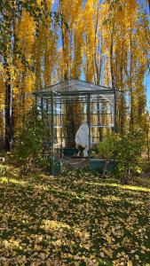 Um jardim em Los Ponchos Hotel