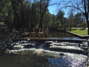 a stream of water in a park with trees at Dalya Life in Göcek