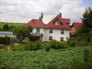 a house with red roofs in a field at Willekes Blütenhof in Madfeld