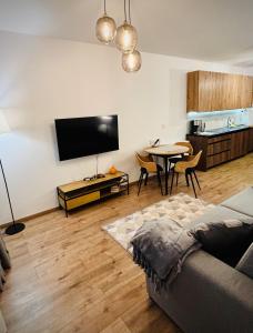 Televisyen dan/atau pusat hiburan di Apartament Michałek MountainAparts