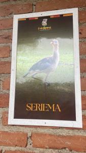 une affiche d'un oiseau sur un mur de briques dans l'établissement Chacrinha pousada e restaurante Chalé Seriema, à Caldas Novas