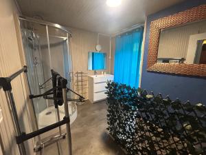 a bathroom with a shower and a toilet and a mirror at La Cheminée - Chambres Gîtes Appartements et Mobile Homes avec Bar-Restaurant in Tardets-Sorholus +88 photos
