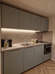 Η κουζίνα ή μικρή κουζίνα στο Durbuy Horizon +12 φωτογραφίες