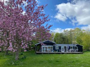een huis in een veld met een bloeiende boom bij Unique, Artistic House With Fjord View in Holbæk