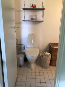 een badkamer met een toilet en een plank aan de muur bij Unique, Artistic House With Fjord View in Holbæk +30 foto's