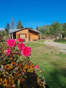 En have udenfor Bosque Nativo