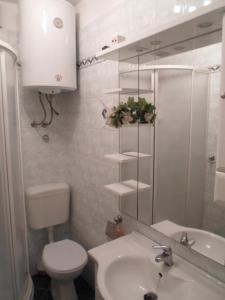 a bathroom with a toilet and a sink and a shower at Apartment Matej in Senj