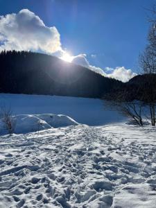 Príroda v okolí apartmánu