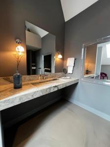 une salle de bain avec un lavabo et un grand miroir dans l'établissement Luxe Suite, Near Station & Free Wifi, à Oss