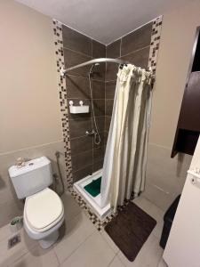 a bathroom with a toilet and a shower with a shower curtain at Beach House in Santa Teresita +11 photos