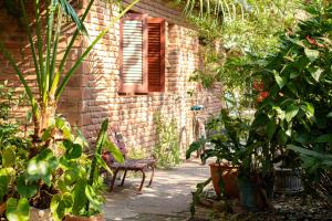 En have udenfor Hostel Teyuí + 7 billeder