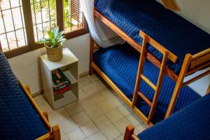 a room with two bunk beds and a potted plant at Hostel Teyuí in Corrientes
