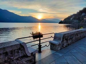een bank naast een waterlichaam bij Appartamento AZZURRO in Cannobio
