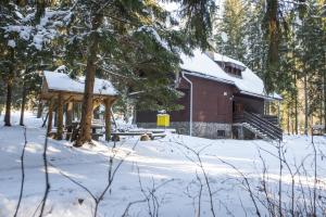 een blokhut in de sneeuw naast een boom bij Chata Pleso in Tatranska Strba