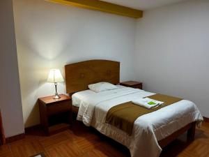 Postel nebo postele na pokoji v ubytování HOTEL LOS ANDES SUITE