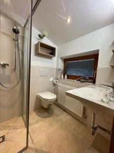 a bathroom with a toilet and a sink and a shower at Gästehaus Emberger in Wagrain +27 photos