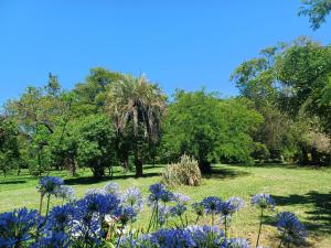 Zahrada ubytování Chácara Rosa Cortiana + 142 fotografií