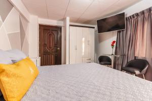 a bedroom with a bed and two chairs and a television at Elegance Hotel in La Paz