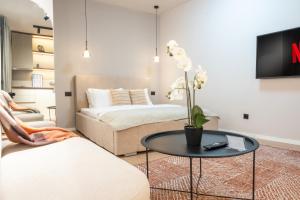 普里什蒂纳Central Studio Apartment的客厅里有一张沙发和一张桌子。