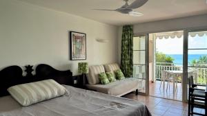 a bedroom with a bed and a balcony with the ocean at Studio vue mer in Sainte-Anne +19 photos