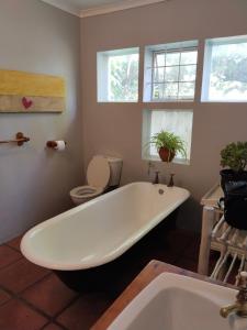 Billede fra billedgalleriet på Restful Tree House in Little Mowbray i Cape Town