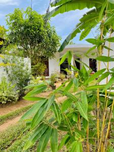 a house with a bunch of plants in front of it at Sasmika Villa Surf and Yoga Hostel in Weligama