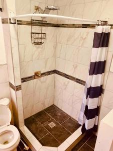 a bathroom with a shower with a toilet at Rayhaan Palace in Long Island City