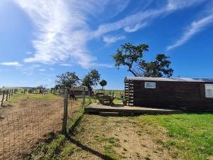 a small cabin in a field next to a fence at Roulotte authentique en pleine nature près de Nancy - FR-1-584-363 in Burthecourt-aux-Chênes