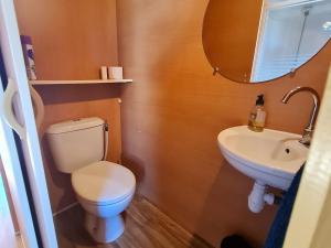 a bathroom with a toilet and a sink and a mirror at Roulotte authentique en pleine nature près de Nancy - FR-1-584-363 in Burthecourt-aux-Chênes