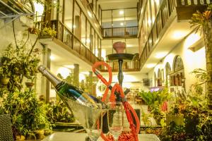 Zahrada ubytování Hotel Sunray