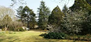 a garden with trees and a lawn with flowers at Wild Berry Guest Farm in Windy