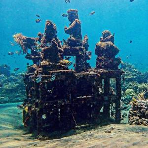 Naturlandskabet i nærheden af hotellet