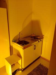 Konkelotie Eco Community South في روفانييمي: مطبخ مع حوض في غرفة صفراء