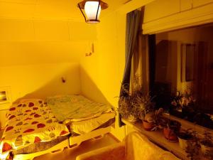 Konkelotie Eco Community South في روفانييمي: غرفة صفراء مع سرير ونافذة