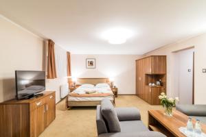 Televízia a/alebo spoločenská miestnosť v ubytovaní Hotel Polanica Resort & Spa