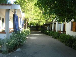 Zahrada ubytování VIOLA Club Village & Camping