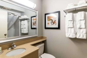 Koupelna v ubytování Quality Inn & Suites Amsterdam + 37 fotografií