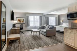 TV a/nebo společenská místnost v ubytování Quality Inn & Suites Amsterdam