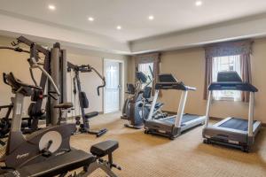 Fitness centrum a/nebo fitness zařízení v ubytování Quality Inn & Suites Amsterdam