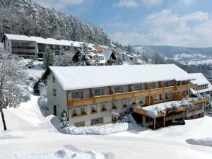 Hotel Waldlust v zimě