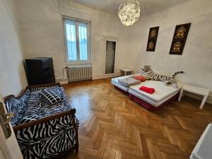 TV a/nebo společenská místnost v ubytování Maison de Maitre à Koenigshoffen