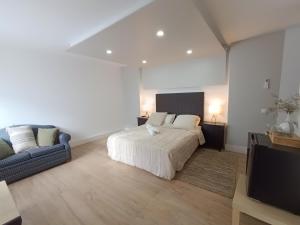 a bedroom with a bed and a couch and a tv at Hotel La Perla Blanca in Ronda