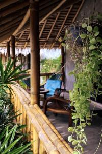 a porch with a blue chair and a plant at The Lazy Lodge in Ko Lanta