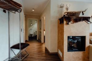 A television and/or entertainment centre at Residenz JANET by MoniCare