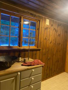 a kitchen with wooden walls and a counter with a sink at Traditionale Norwegian mountain cabin Passebekk Skrim Karibu no water connection in Kongsberg +15 photos