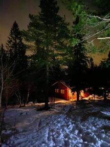 a red cabin in the snow at night at Traditionale Norwegian mountain cabin Passebekk Skrim Karibu no water connection in Kongsberg