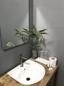 un lavabo de salle de bain avec une plante en pot et un miroir dans l'établissement Mai Resort Hotel, à Laoac