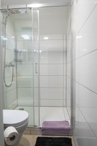 a bathroom with a shower with a toilet and a sink at House Angelca in Hočko Pohorje