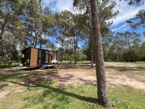 UranganSandy Strait Shack by Tiny Away的田野上的小小屋,有树
