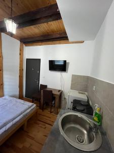 a bathroom with a sink and a bed in a room at Apartments Gaga in Jahorina
